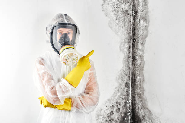 Best Environmental Consulting for Mold Prevention  in Reedurban, OH